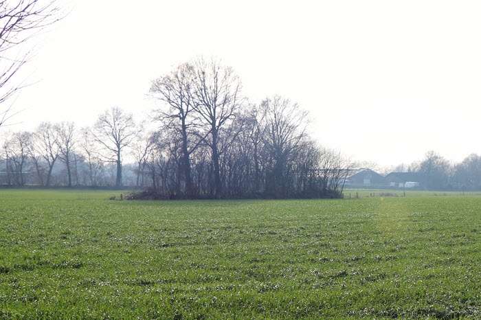 Geld voor stoppende veehouders