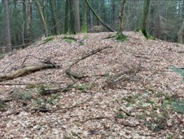 Grafheuveltocht op Landgoed Schovenhorst