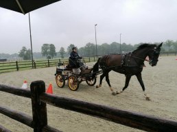 “Van jongs af aan, zat ik alleen maar op mijn pony ”